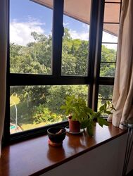 Tai Hwan Park (D19), Terrace #567536451